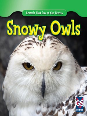 cover image of Snowy Owls